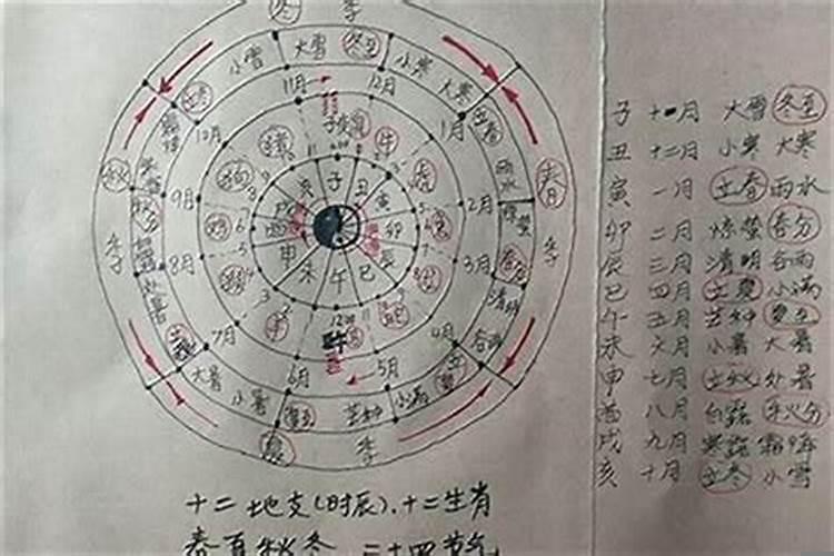 属虎牛年能结婚吗