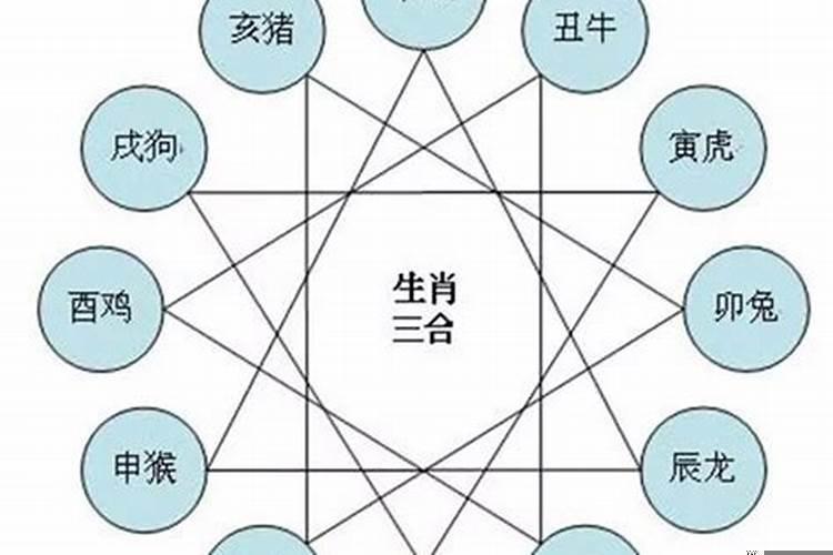 孩子十二生肖相冲相克表