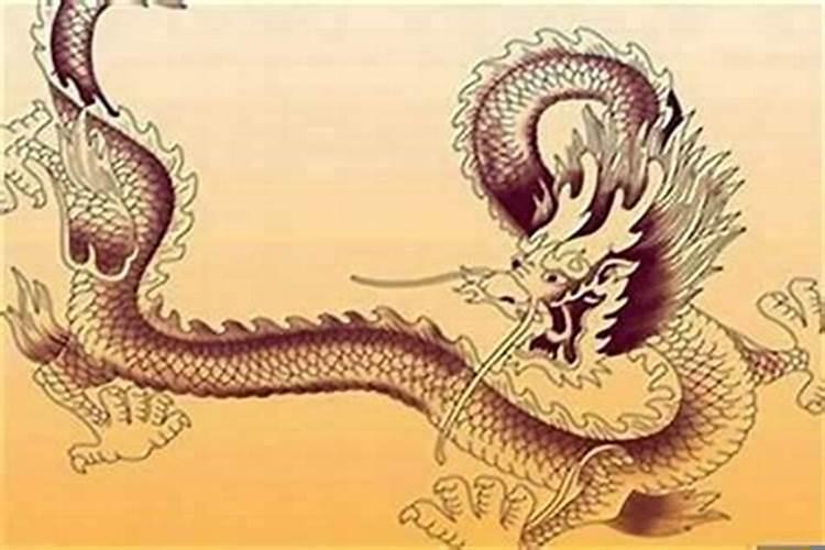 属龙的人住几楼最好风水