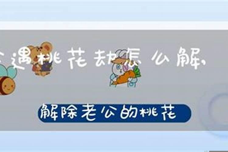 怎么破老公的桃花劫