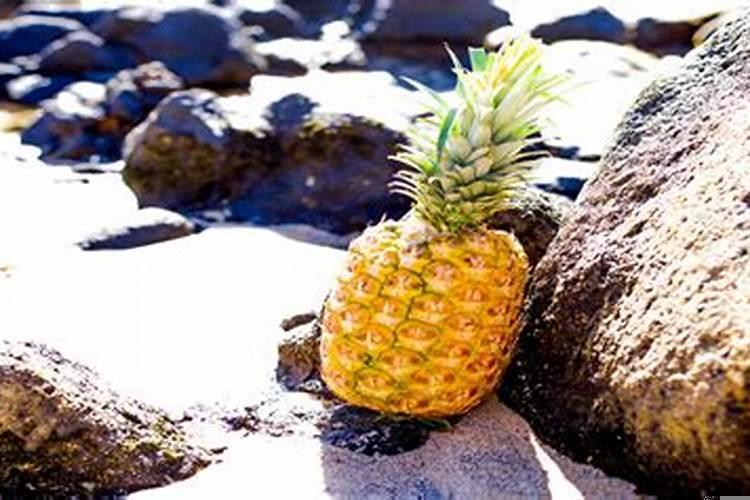 2025年2月21日开业好吗