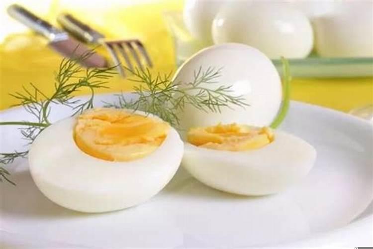 小鸡们不会知道鸡蛋的命运