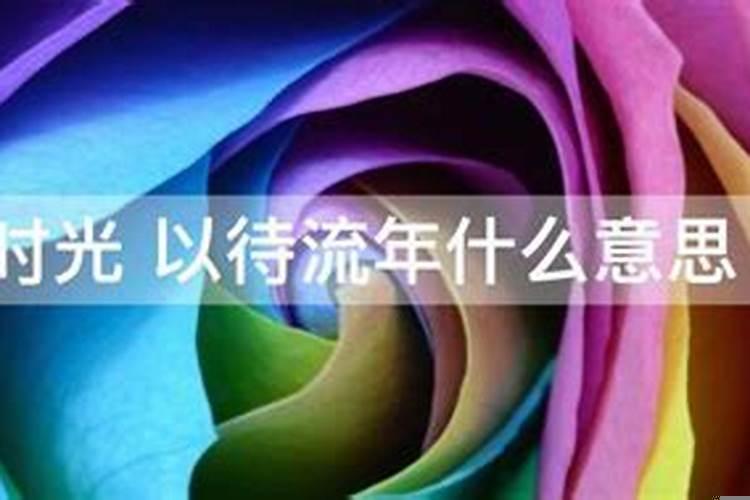 凝望流年的意思