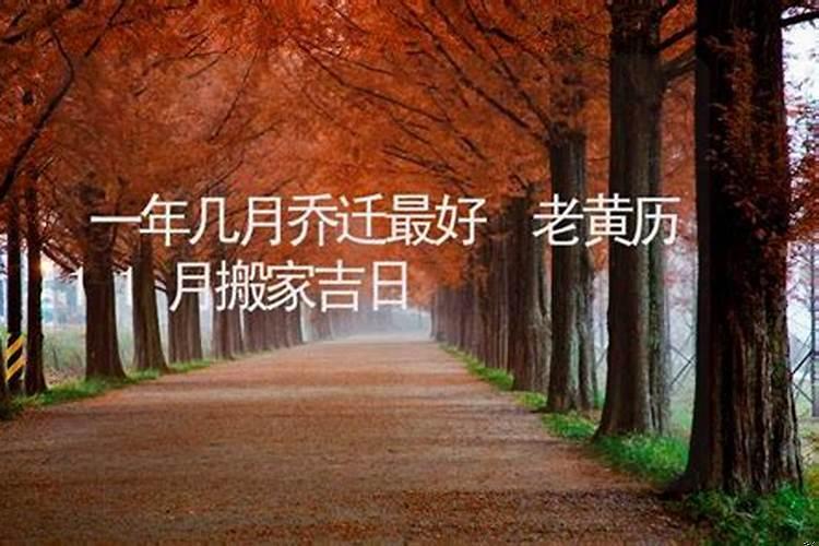 一年中哪个月搬家最好老黄历