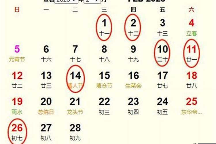 2025年2月21日开业好吗