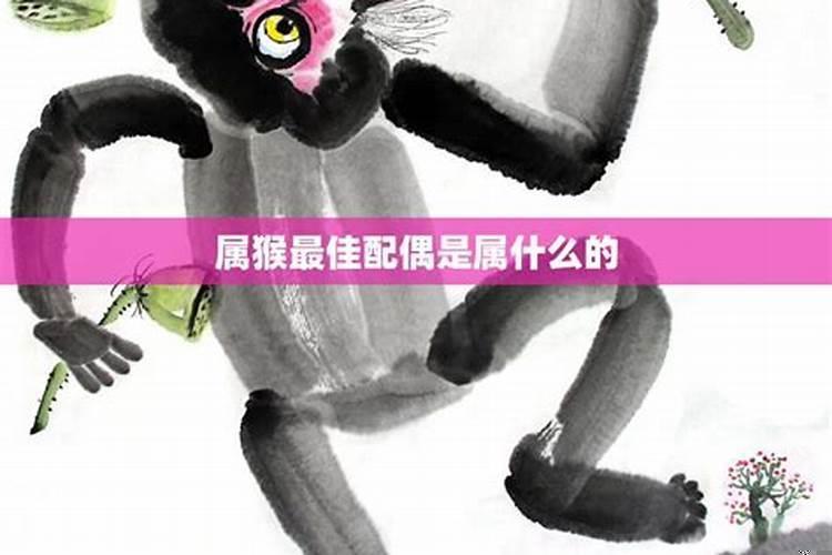 属猴的配偶最佳属相是什么