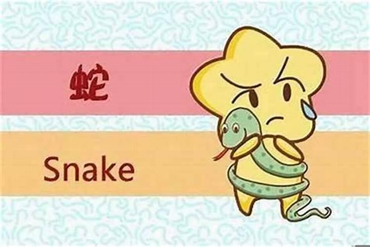 女属虎的男属蛇婚姻怎么样