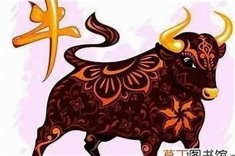 属牛佩戴什么东西化太岁