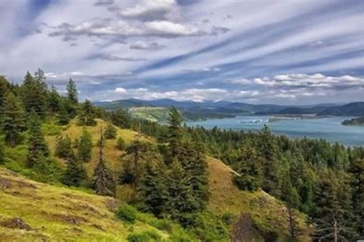 83年属猪和哪个属相配