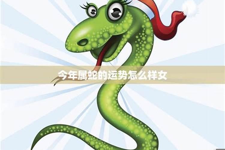 生肖蛇做什么生意好