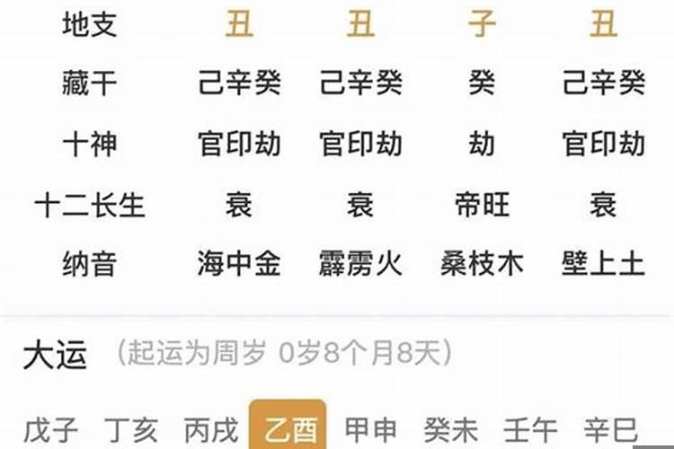 辛丑年壬辰月己酉日好吗