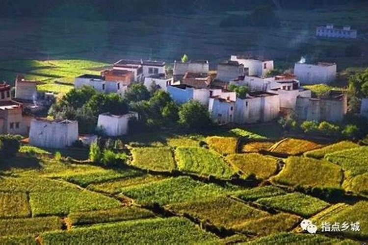 梦见已死的亲人又活了还跟着自己走