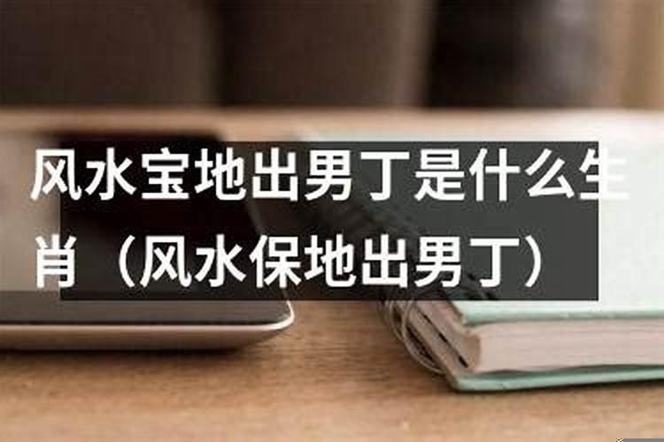 风水宝地的生肖