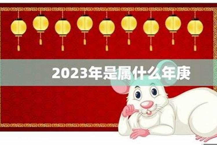 2025年是什么年庚落款