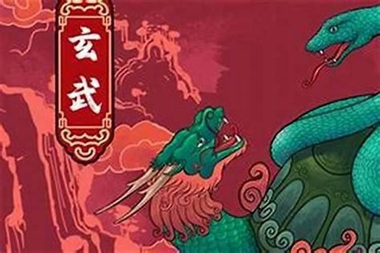 生肖蛇一生的财运运势