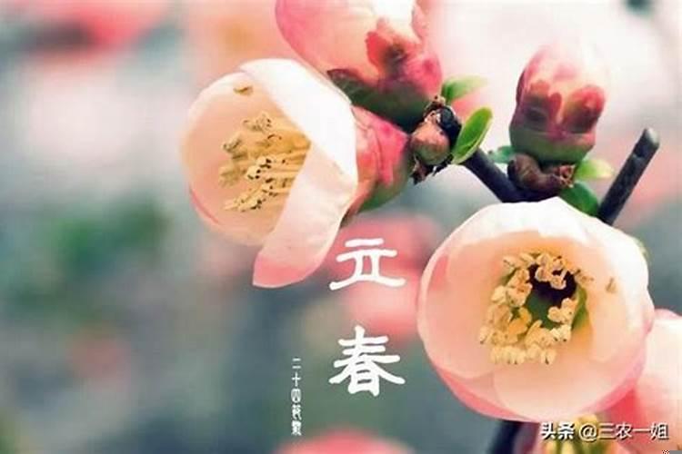 立春这天可以睡午觉吗