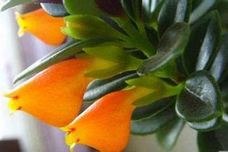 梦见坟墓是什么预兆