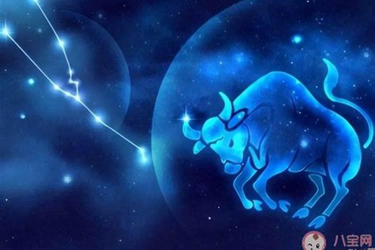 和金牛座聊天注意什么