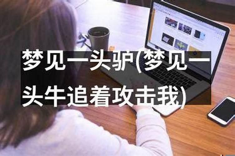 梦见一头牛追我