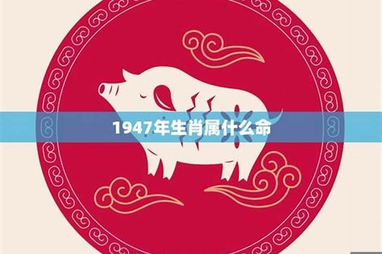 1947年属猪人的命运,属猪人办公桌最佳朝向