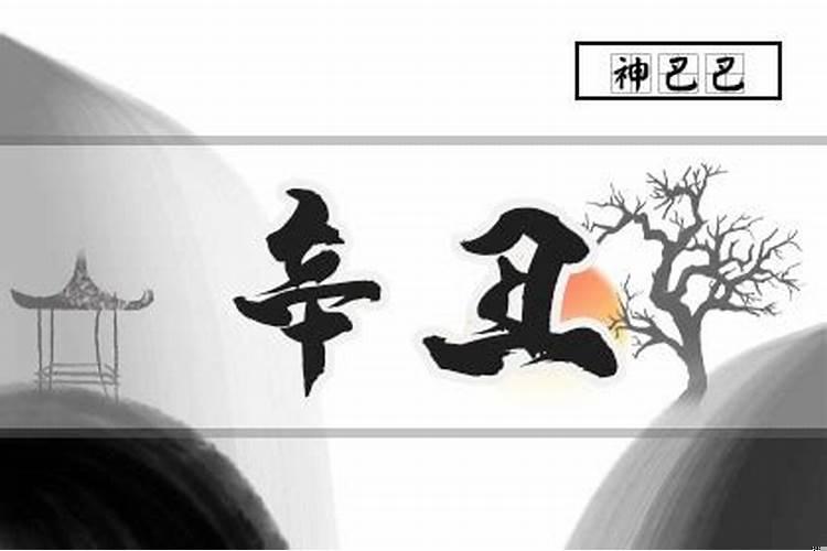 辛卯日己丑时出生女命