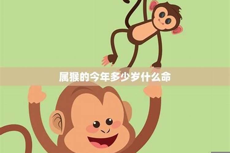 2025年5月哪天属猴?今年属猴的有多少岁