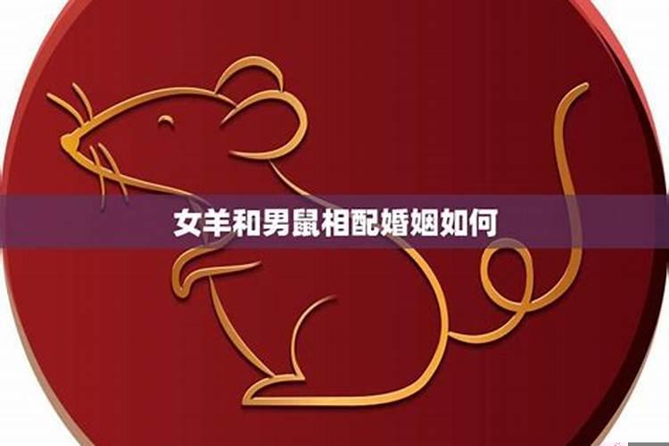 龙与羊结婚姻命运如何？男鼠和女羊结婚好不好