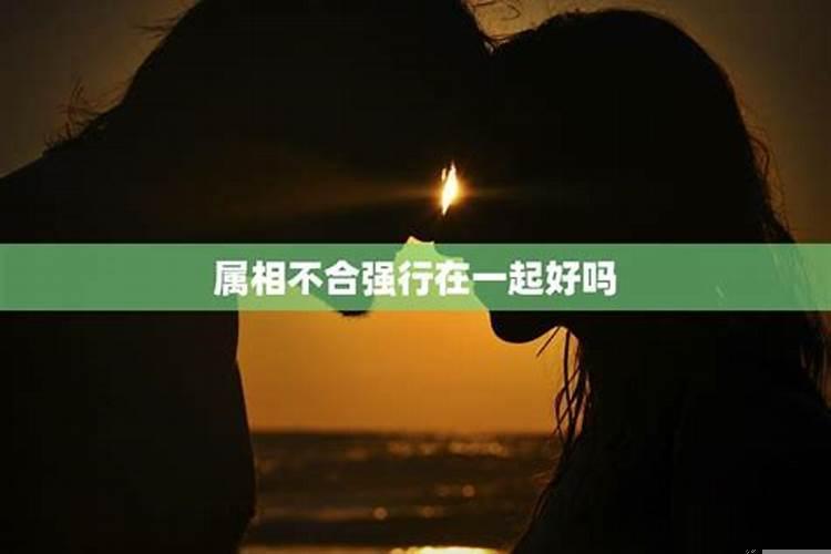 属相不合两个人真心相爱