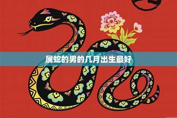 属蛇男为什么不能找属蛇女？属蛇男为什么婚姻不顺