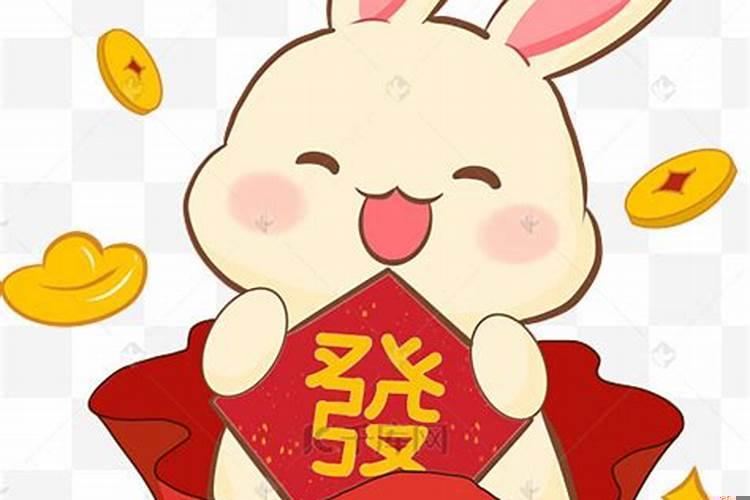 2020年的兔子怎么样