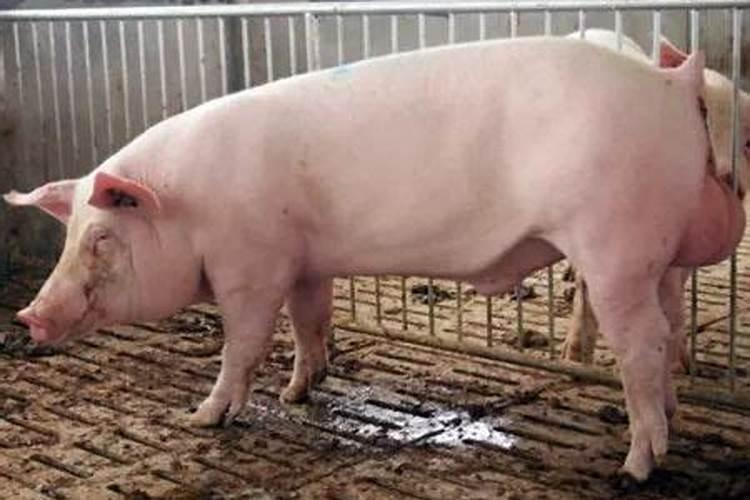 九月二十一日是什么日子