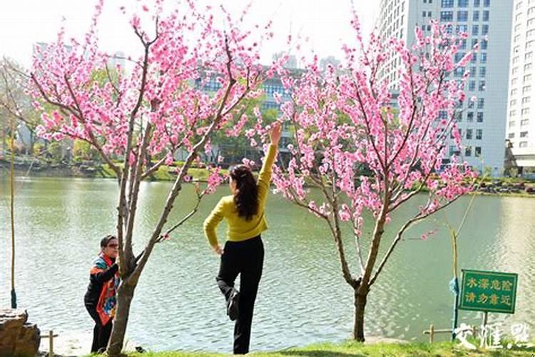 2025年上半年十二生肖桃花运(2025命犯桃花的生肖是哪几个)