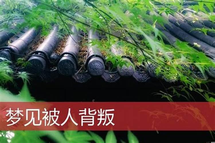 梦见被背叛是什么意思