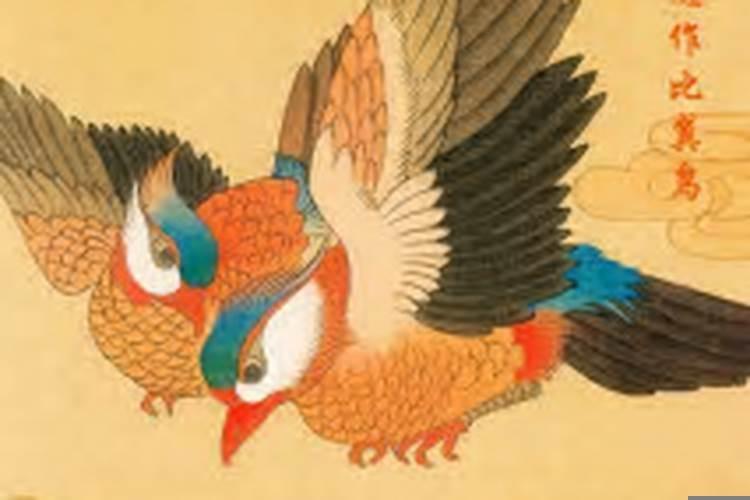 在天愿作比翼鸟打一生肖 生肖马和什么属相最好呢