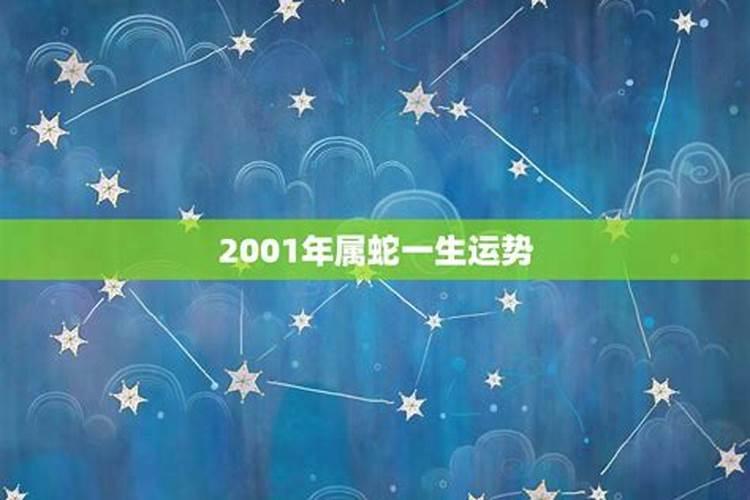 2001年属蛇人命运（2001年属蛇的是什么年命）