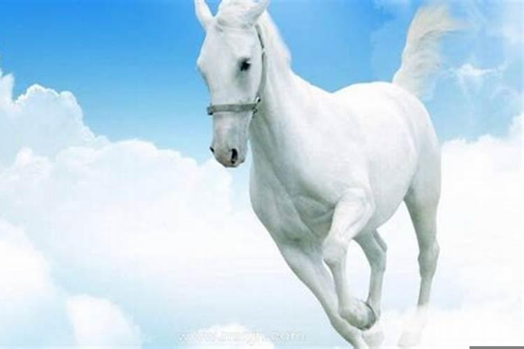 做梦梦见骑白马飞奔