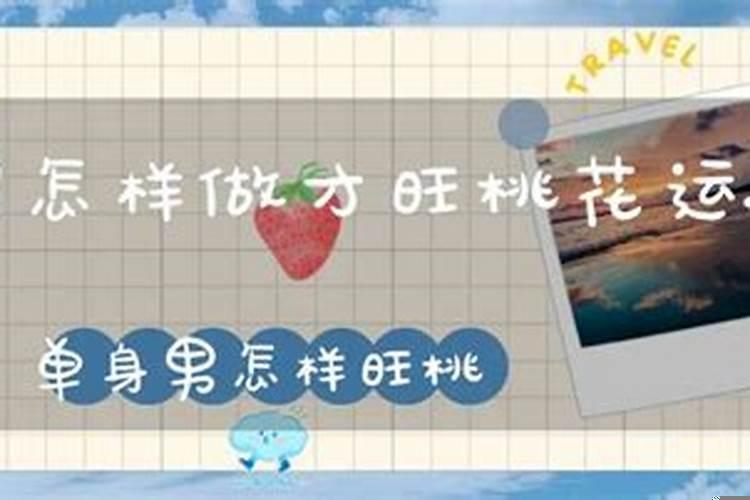 单身男怎样旺桃花？房间放什么花催桃花