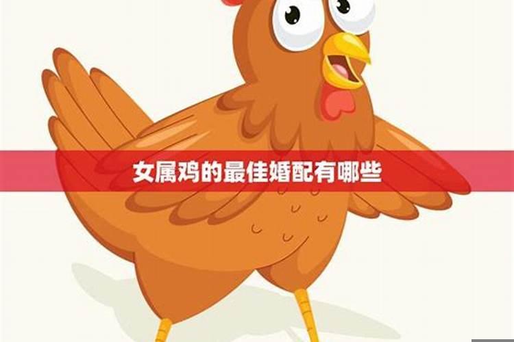 属鸡的女孩最佳婚配（属鸡女和什么配最合适呢）