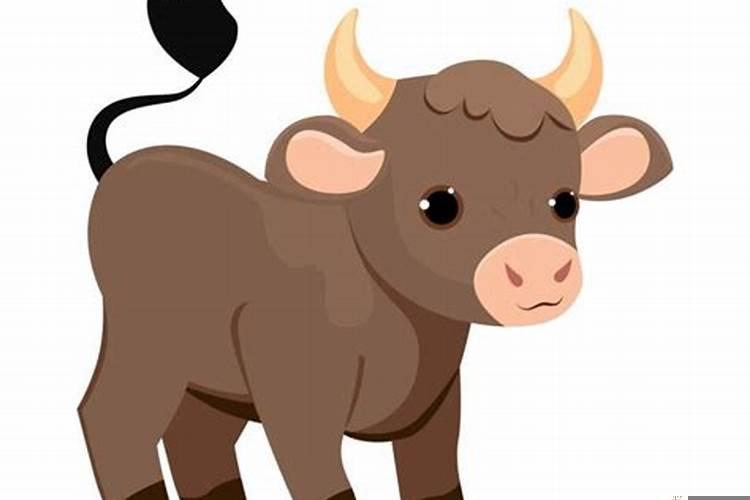 女属牛和男属兔相配婚姻如何？属牛的男的跟属兔的女的婚配合吗