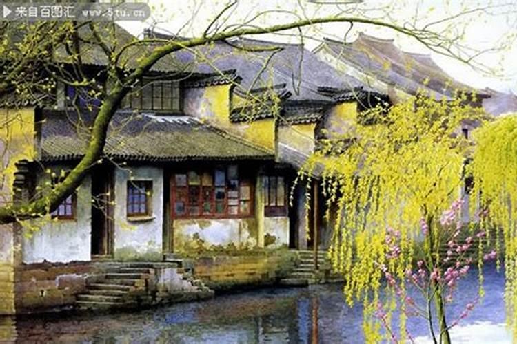 1963年属兔的人婚配(属狗的能找属狗的对象吗)