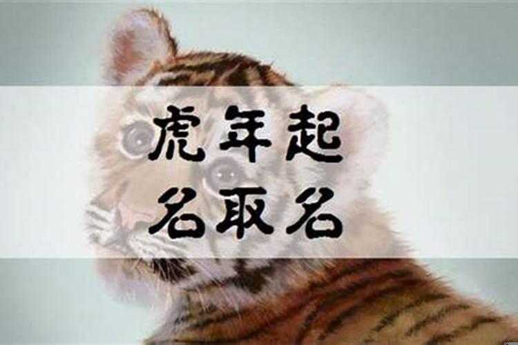2025年属虎取名宜用字(属虎的适合用什么偏旁的字)