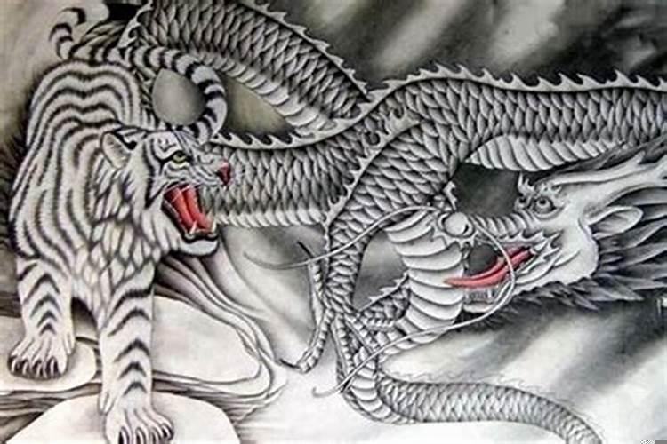 龙与虎恋爱关系(属马的对象)