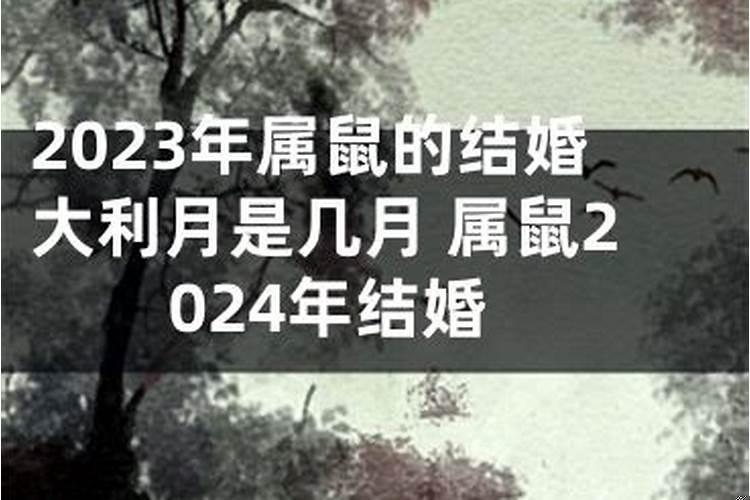 2025属鼠的结婚大利月是几月