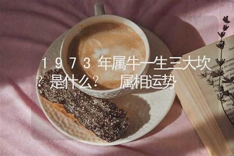 1973年属牛三个坎(73年属牛劫难)