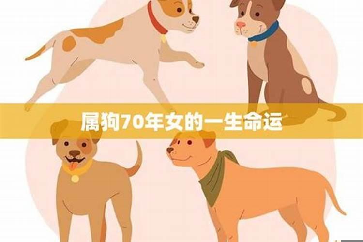70年女人属狗一生命运，70年女狗注意什么