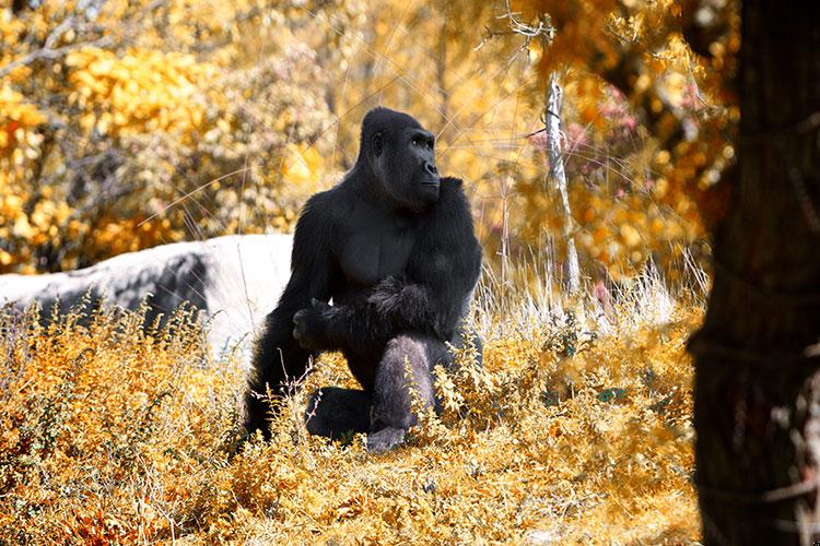 2025年属兔几月份好？2025年属什么生肖年是什么年