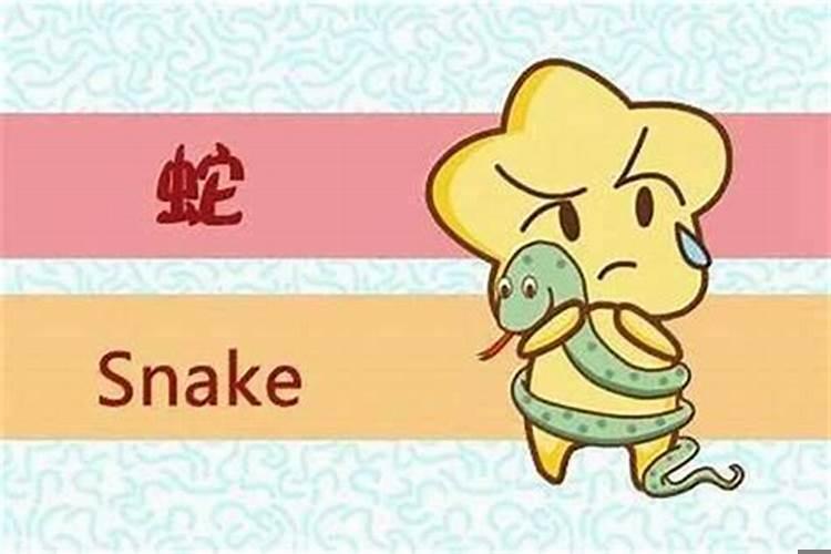 男虎和女蛇相克吗？虎和蛇婚姻好不好