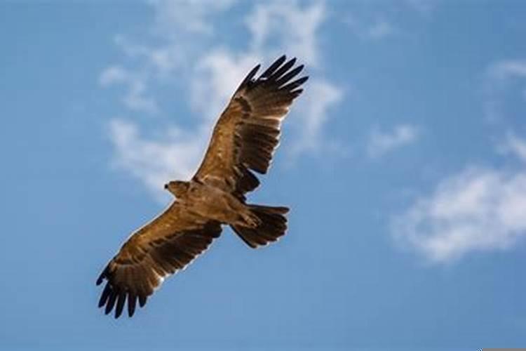 92年属猴女晚婚有多晚？92年属猴买房风水楼层