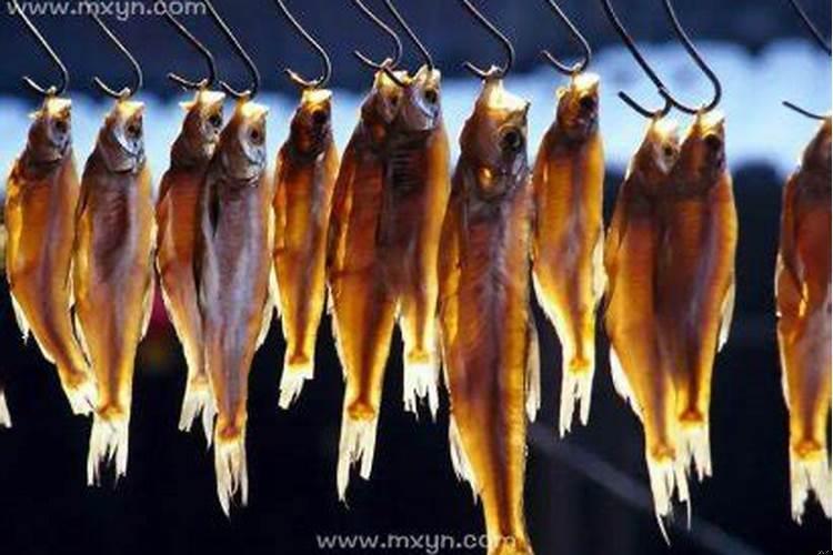 梦见好多死鱼是什么预兆女性