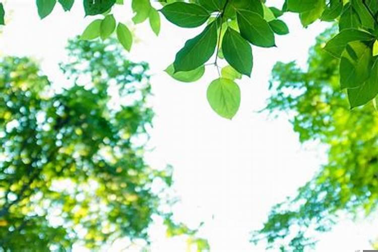 星座学业运势查询每日更新 如何提高自己的运气和学业能力呢英文